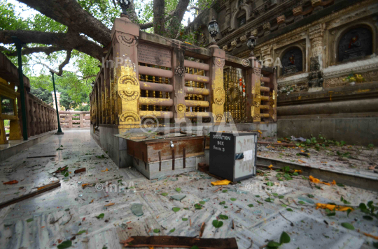  Mahabodhi temple serial Blast