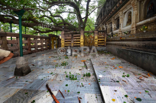  Mahabodhi temple serial Blast