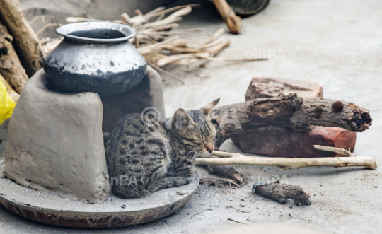 A cat warms herself from a famer's a clay stove