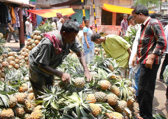 A pineapple vendor busy selling his goods 