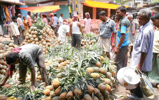 A pineapple vendor busy selling his goods