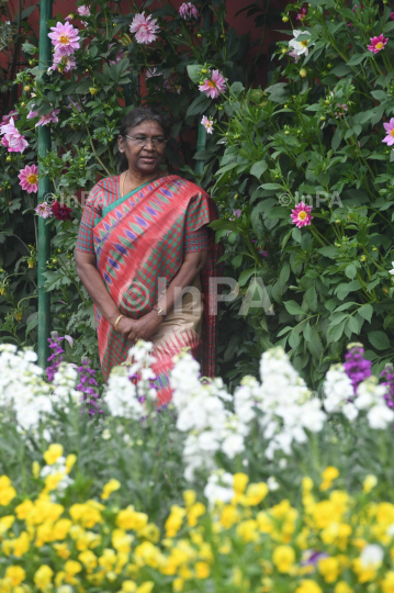 Amrit Udyan or Mughal Gardens  at President House 