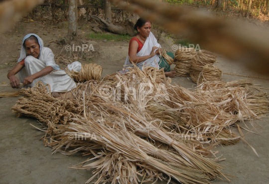 Bihu Festival