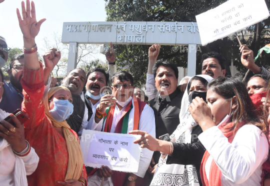 Congress Protest in Bhopal