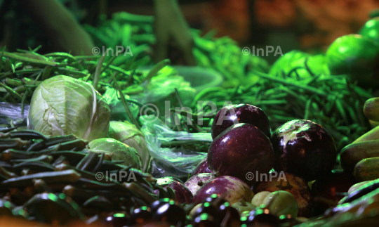 INPA09081124