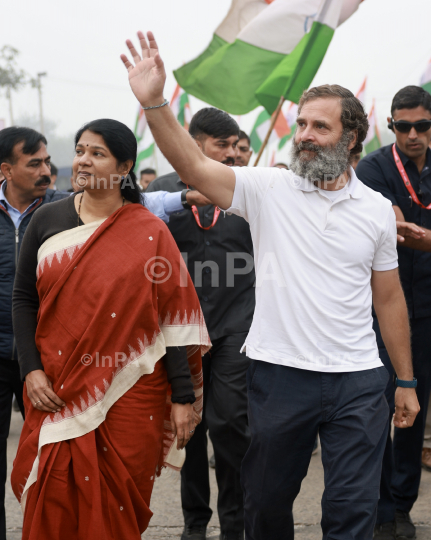 Kanimozhi with Rahul Gandhi 
