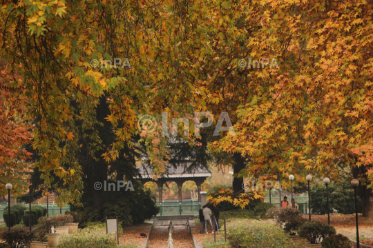 Mughal garden Dara Shikoh Bijbehara, Anantnag during Autumn season in Kashmir.
