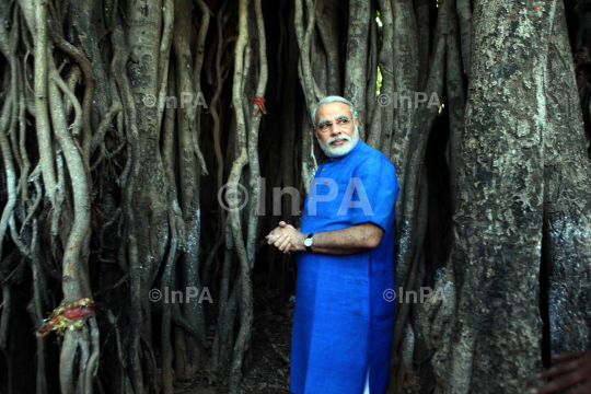 Narendra Modi visited the auspicious 500 year old Banyan Tree - Indian  Photo Agency - Buy India News & Editorial Images from Stock Photography