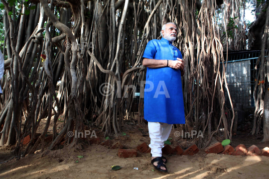 Narendra Modi visited the auspicious 500 year old Banyan Tree