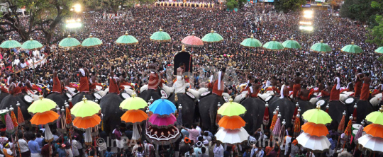 Trichur Pooram temple festival