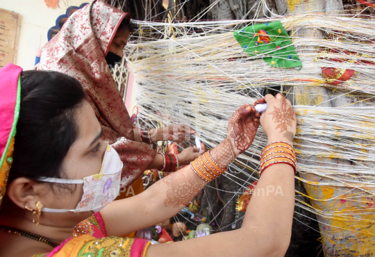 Vat Savitri Puja In Bhopal