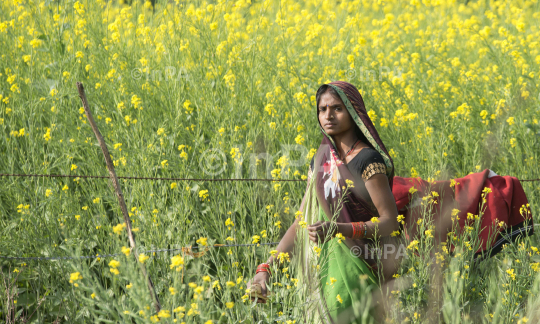 Woman Farmer, Village woman
