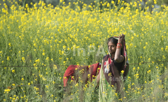 Woman Farmer, Village woman