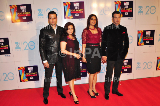 Zee Cine Awards 2013, red carpet