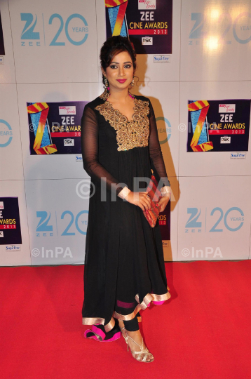 Zee Cine Awards 2013, red carpet