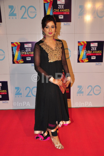 Zee Cine Awards 2013, red carpet